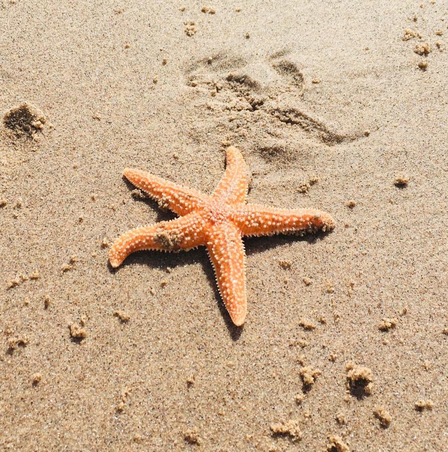 Sandy Feet Retreat Exmouth Ngoại thất bức ảnh